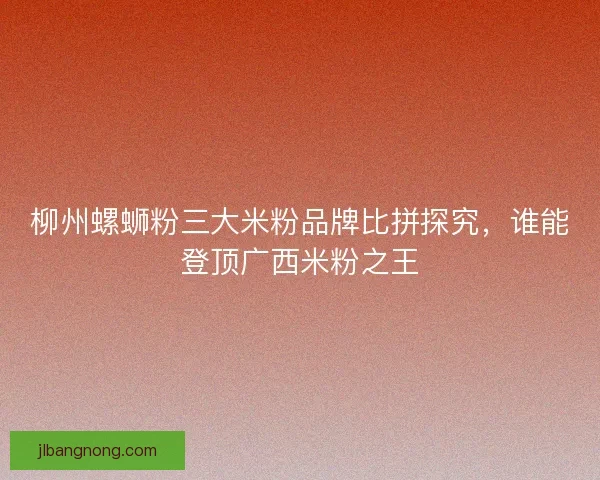 柳州螺蛳粉三大米粉品牌比拼探究，谁能登顶广西米粉之王