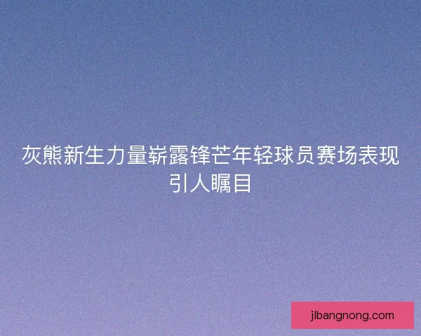 灰熊新生力量崭露锋芒年轻球员赛场表现引人瞩目